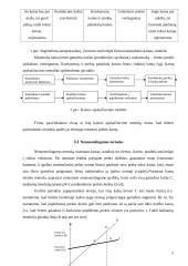 Kainodaros principai 9 puslapis