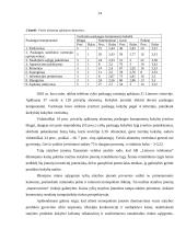 Kainos nustatymas monopolinėje rinkoje 12 puslapis