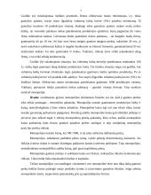 Kainos nustatymas monopolinėje rinkoje 5 puslapis