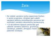 Pristatymas apie vandens taršą 4 puslapis
