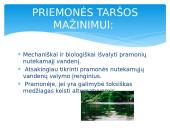 Pristatymas apie vandens taršą 5 puslapis