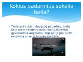 Pristatymas apie vandens taršą 6 puslapis