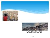 Pristatymas apie vandens taršą 7 puslapis