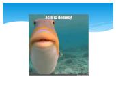 Pristatymas apie vandens taršą 8 puslapis