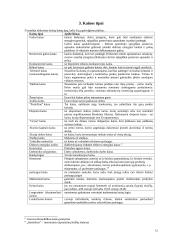 Kainos struktūra ir tipai 12 puslapis