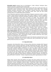 Kainos struktūra ir tipai 14 puslapis