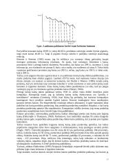 Kainos struktūra ir tipai 17 puslapis