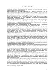 Kainos struktūra ir tipai 20 puslapis