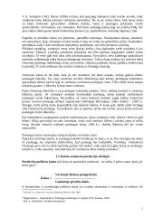 Kainos struktūra ir tipai 5 puslapis