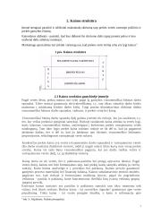 Kainos struktūra ir tipai 7 puslapis