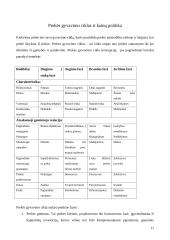 Kainų prognozavimas 11 puslapis