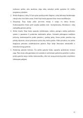 Kainų prognozavimas 12 puslapis