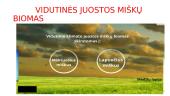 Biomas – ekosistema, apimanti didelę sritį 3 puslapis