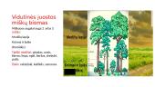 Biomas – ekosistema, apimanti didelę sritį 4 puslapis