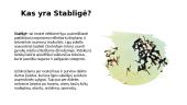 Stabligė 2 puslapis