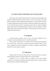 Kalbos etiketas buhalterinės apskaitos darbuotojų kalboje 5 puslapis