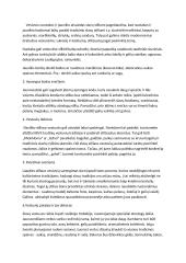 Slaviškos vestuvės 2 puslapis