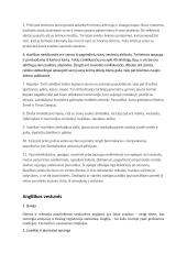 Slaviškos vestuvės 5 puslapis