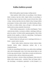 Kalbos kultūros įtaka asmenybės tapsmui 4 puslapis