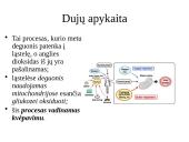 Dujų apykaita gyvuose organizmuose 2 puslapis