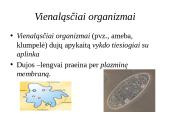 Dujų apykaita gyvuose organizmuose 11 puslapis