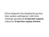 Dujų apykaita gyvuose organizmuose 14 puslapis