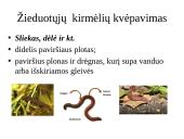 Dujų apykaita gyvuose organizmuose 15 puslapis