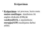 Dujų apykaita gyvuose organizmuose 3 puslapis