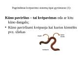 Dujų apykaita gyvuose organizmuose 6 puslapis