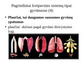 Dujų apykaita gyvuose organizmuose 8 puslapis