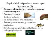 Dujų apykaita gyvuose organizmuose 9 puslapis