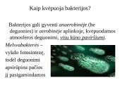 Dujų apykaita gyvuose organizmuose 10 puslapis