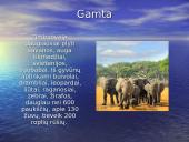 Zimbabvė 6 puslapis