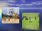 Zimbabvė 10 puslapis