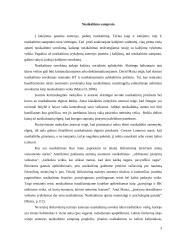 Kalėjimas: samprata ir vaidmuo 3 puslapis