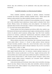 Kalėjimas: samprata ir vaidmuo 4 puslapis