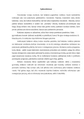 Kalėjimas: samprata ir vaidmuo 9 puslapis