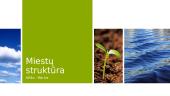 Miestų struktūra
