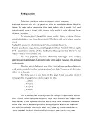 Kaligrafija ant stiklo 7 puslapis