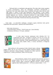 Kalis (K) 6 puslapis