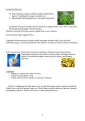 Kalis (K) 8 puslapis