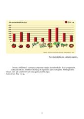 Kalis (K) 9 puslapis