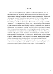 Kamuoliniai žaibai 2 puslapis