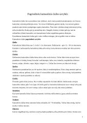 Kamuoliniai žaibai 4 puslapis