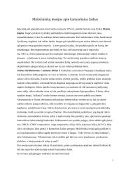 Kamuoliniai žaibai 6 puslapis