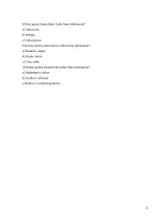 Kamuoliniai žaibai 8 puslapis