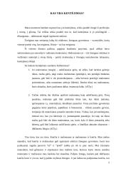 Kančios problema 4 puslapis