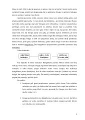 Kančios problema 5 puslapis