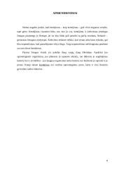 Kančios problema 7 puslapis