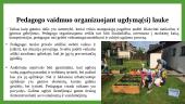 Lauko ugdomoji aplinka 12 puslapis